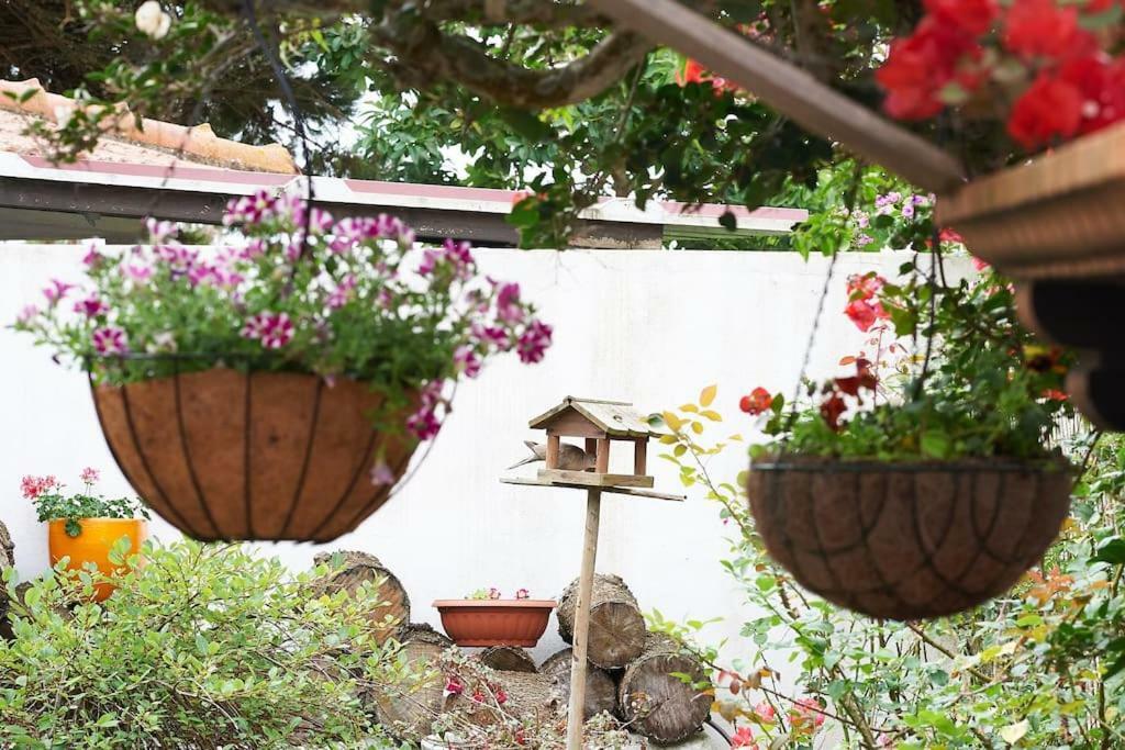 Beija-Flor House Vila Ribamar  Exterior foto